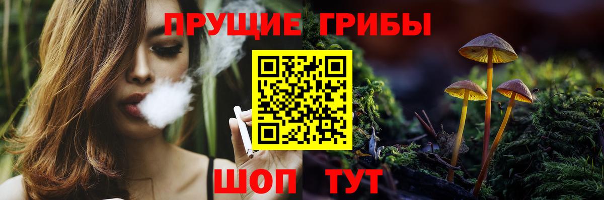 Орёл  Галлюциногенные грибы Psilocybine cubensis  Вход с VPN  Псилоцибиновые грибы Cubensis 